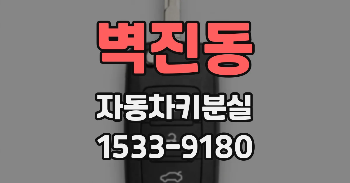 벽진동 자동차키분실