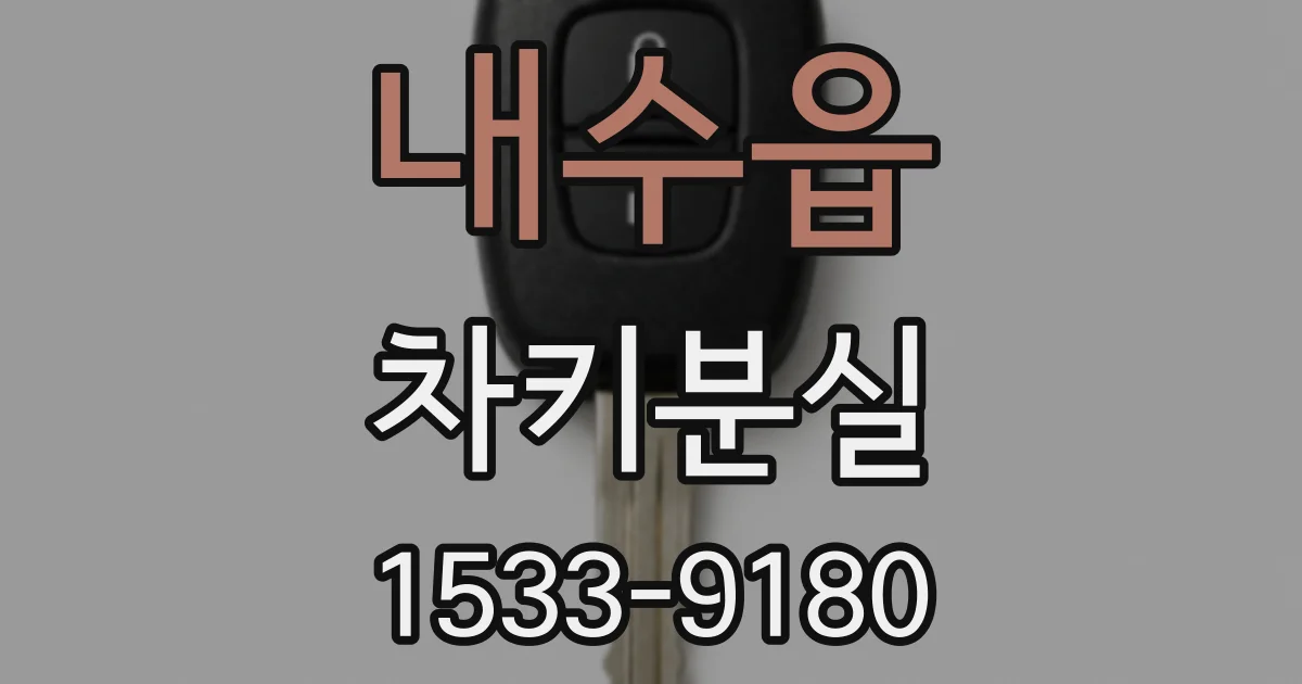 내수읍 차키분실