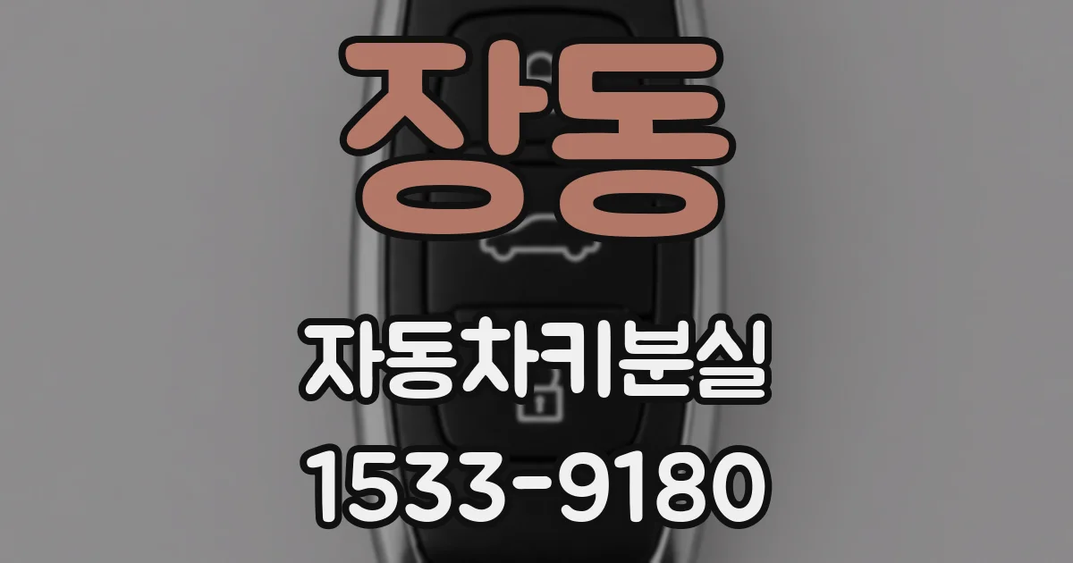 장동 자동차키분실