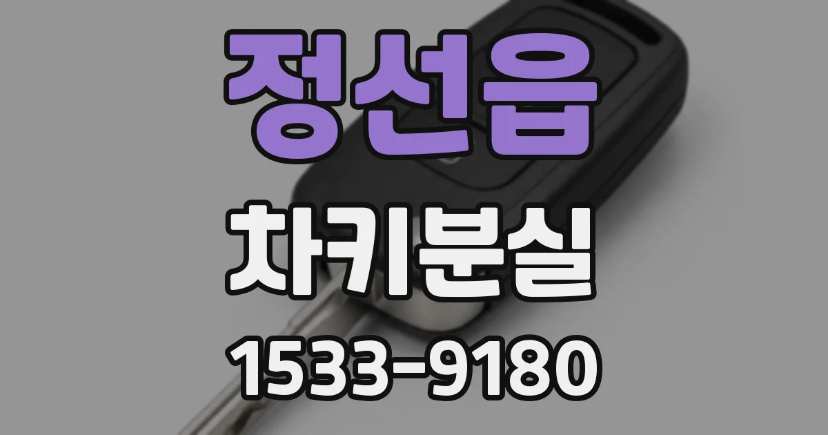 정선읍 차키분실