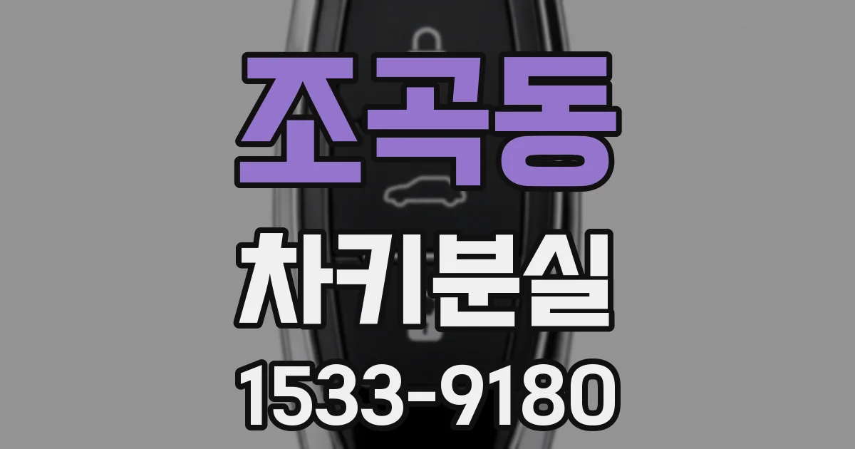 조곡동 차키분실