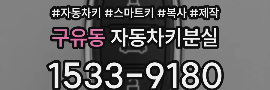 구유동 자동차키분실