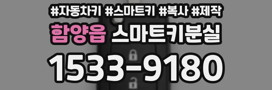 함양읍 스마트키분실