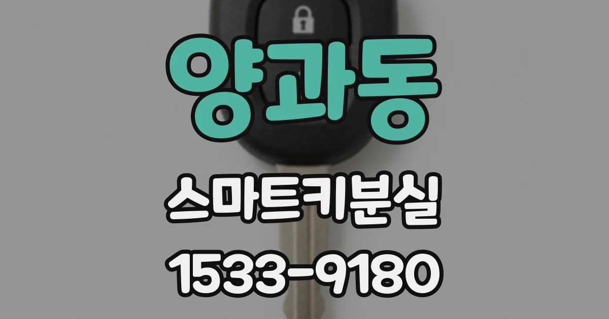 양과동 스마트키분실