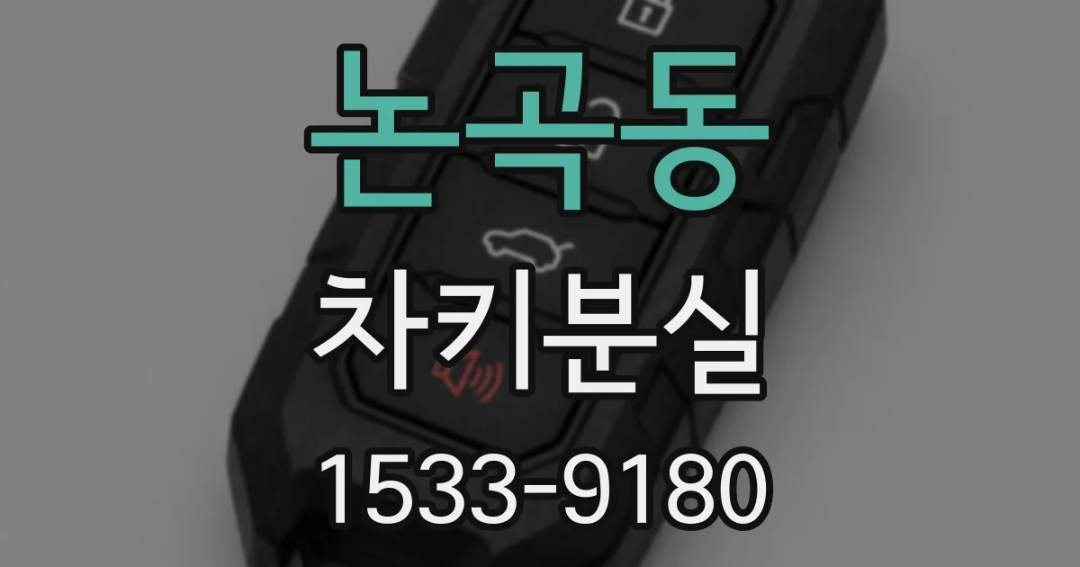 논곡동 차키분실