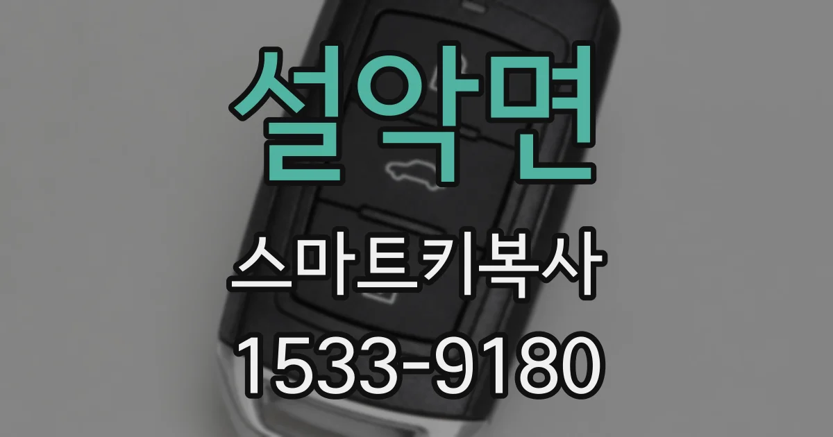 설악면 스마트키복사