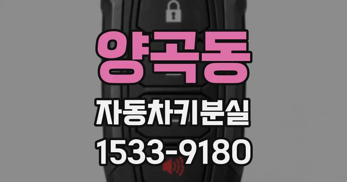 양곡동 자동차키분실