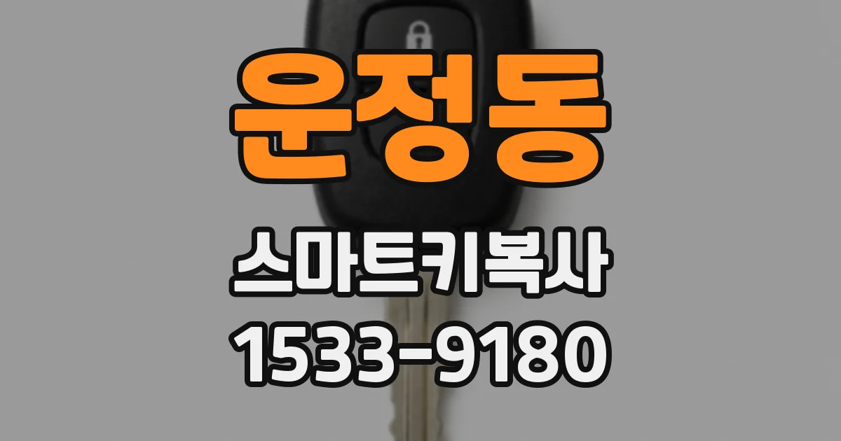 운정동 스마트키복사