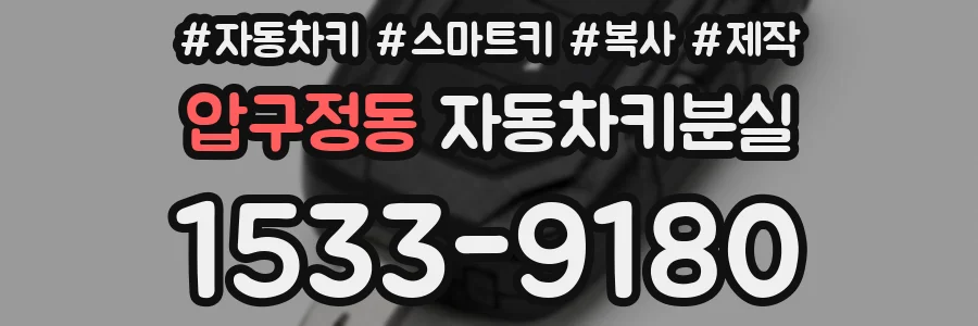 압구정동 자동차키분실