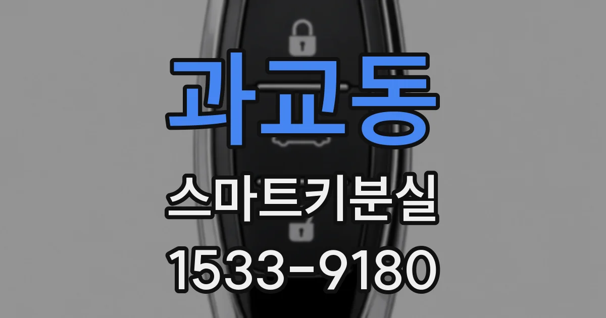 과교동 스마트키분실