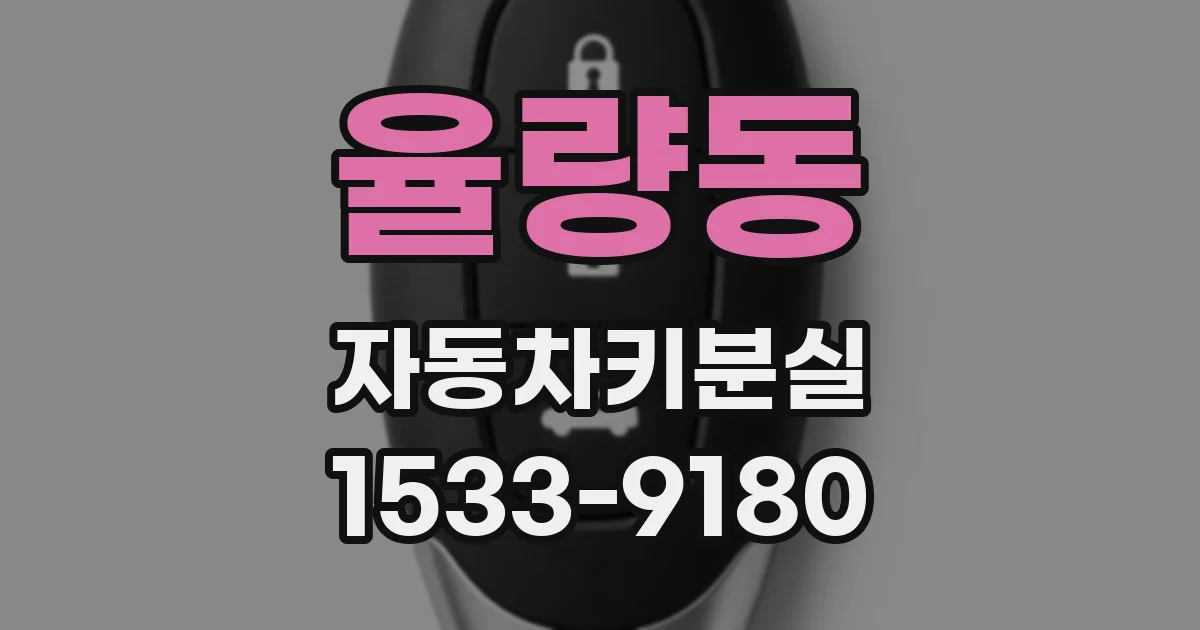 율량동 자동차키분실