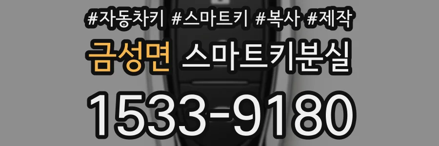 금성면 스마트키분실