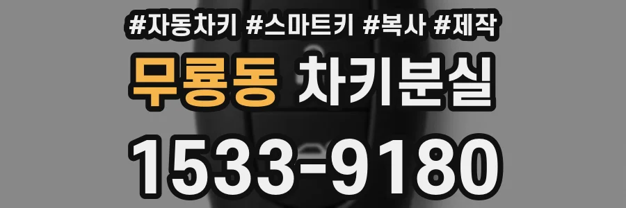 무룡동 차키분실
