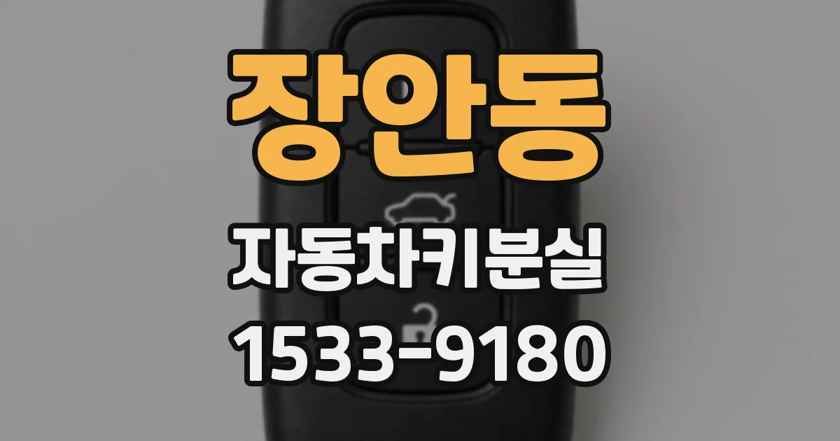 장안동 자동차키분실