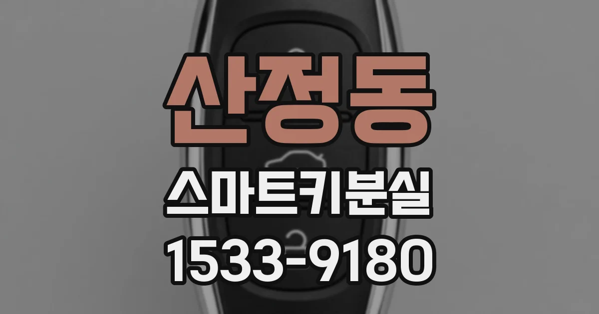 산정동 스마트키분실