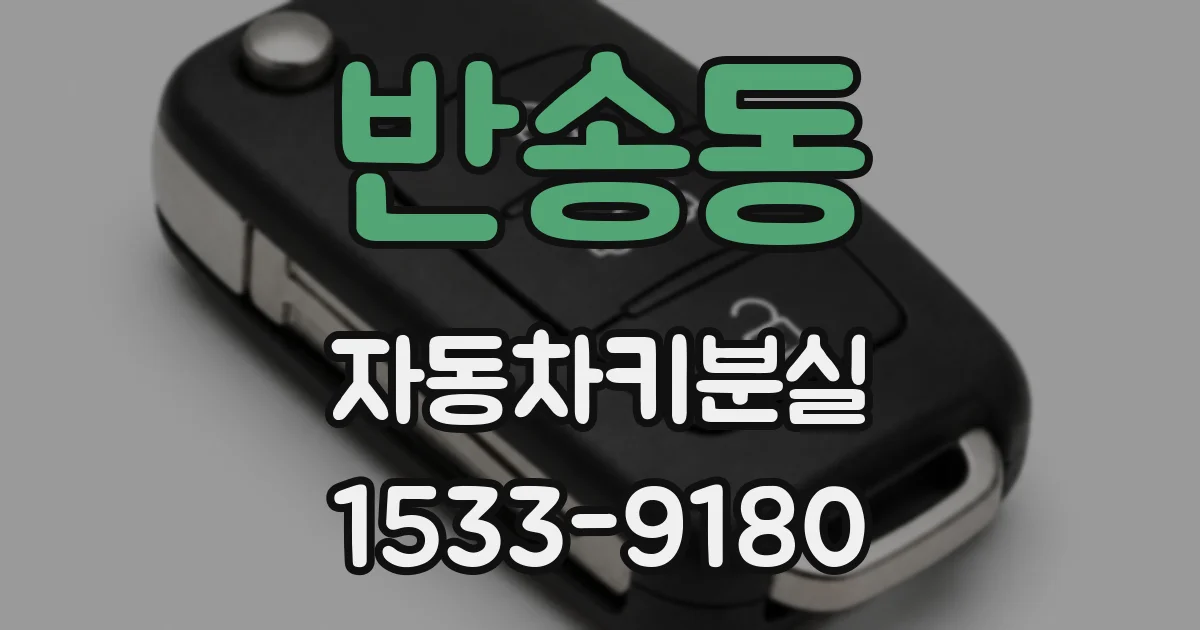 반송동 자동차키분실