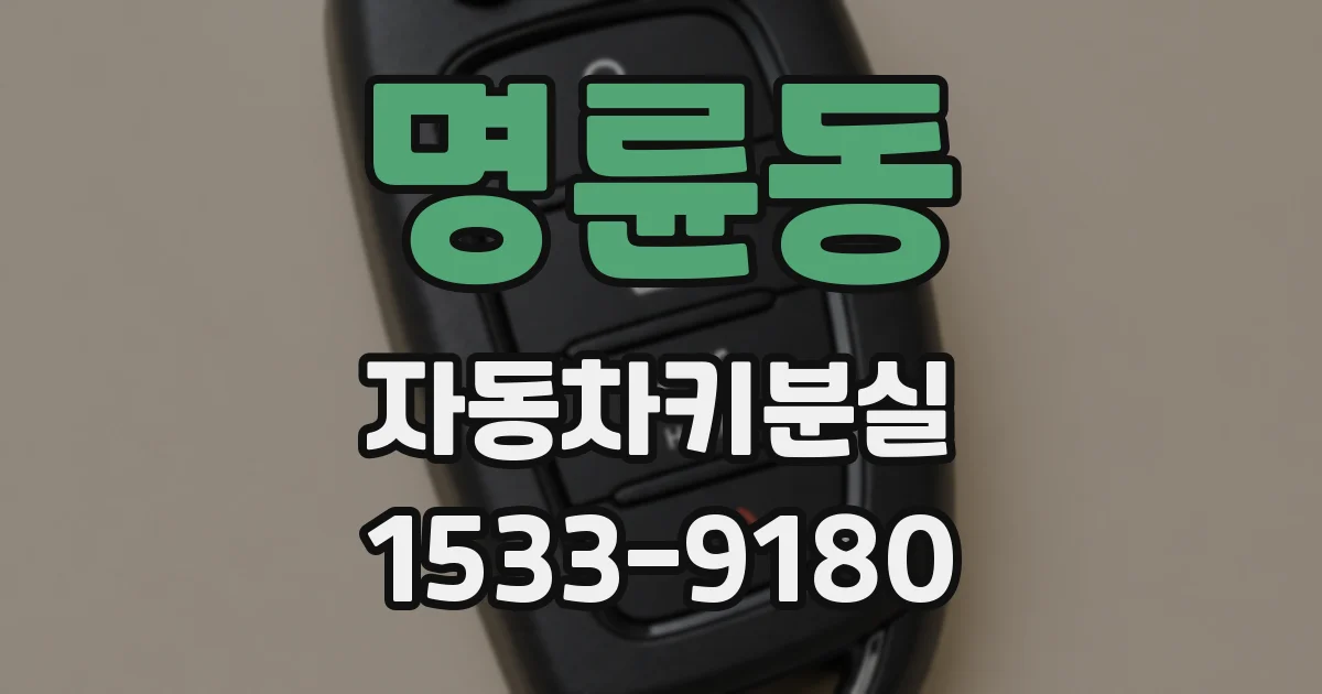 명륜동 자동차키분실