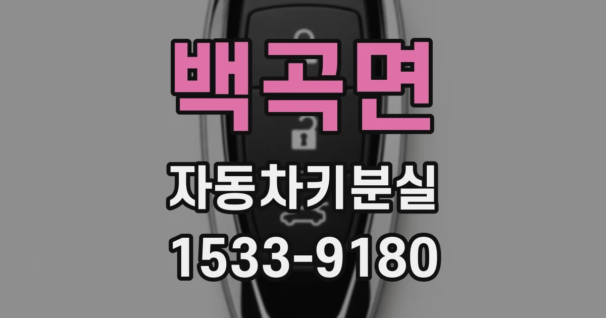 백곡면 자동차키분실