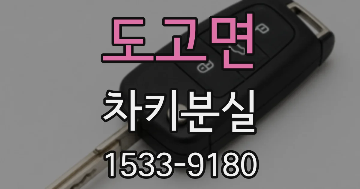 도고면 차키분실