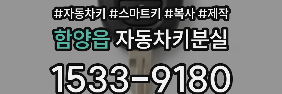 함양읍 자동차키분실