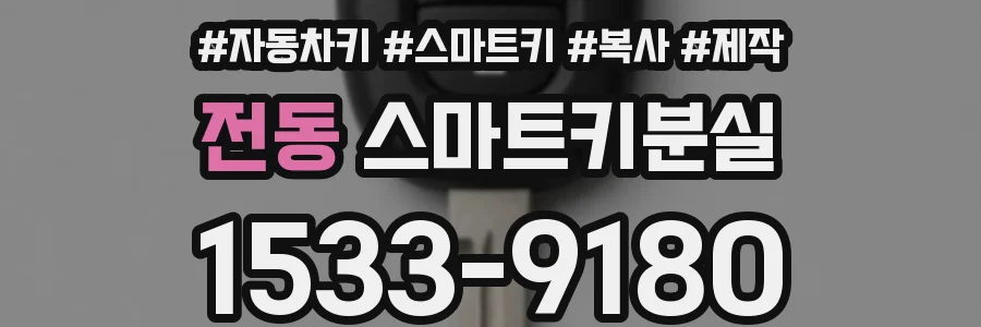 전동 스마트키분실
