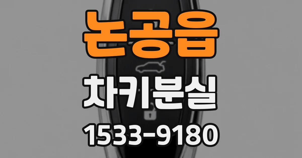 논공읍 차키분실
