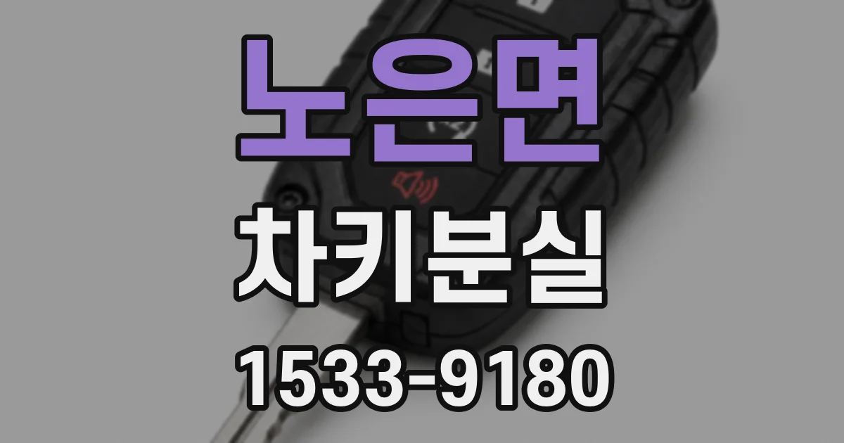 노은면 차키분실