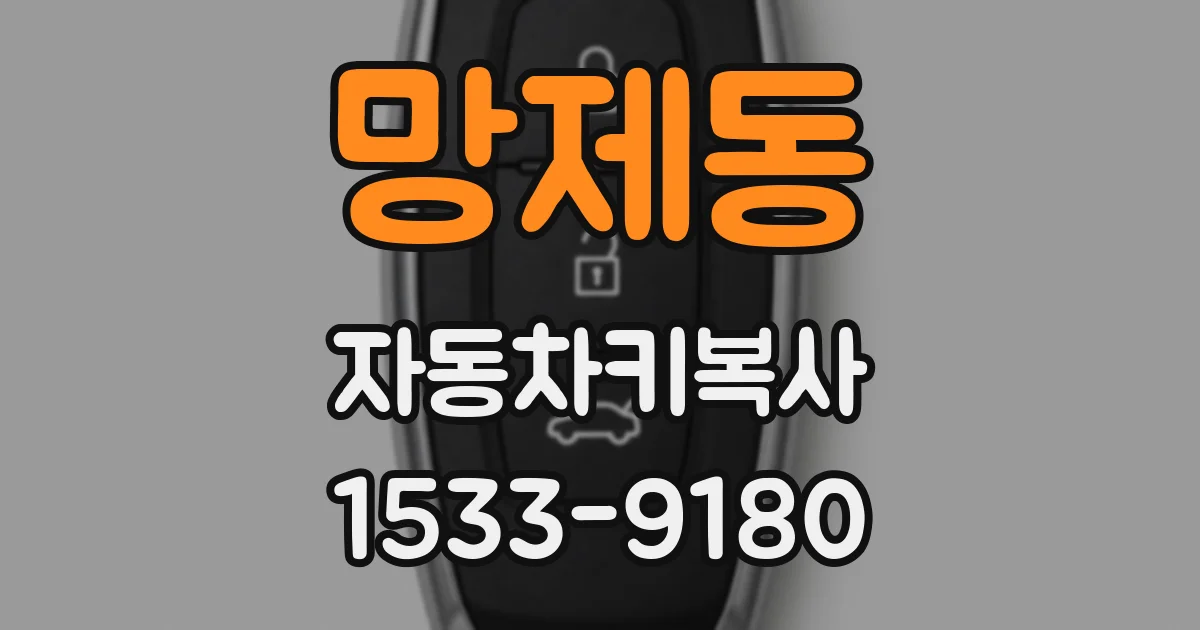 망제동 자동차키복사