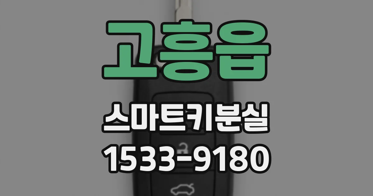 고흥읍 스마트키분실