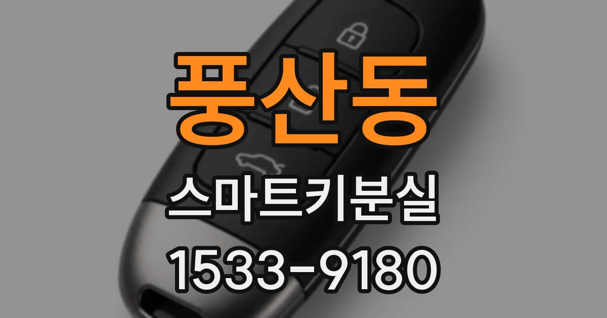 풍산동 스마트키분실