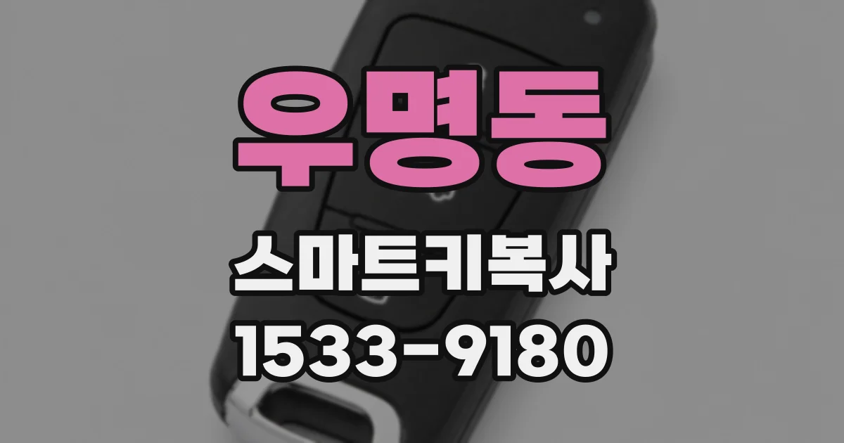 우명동 스마트키복사