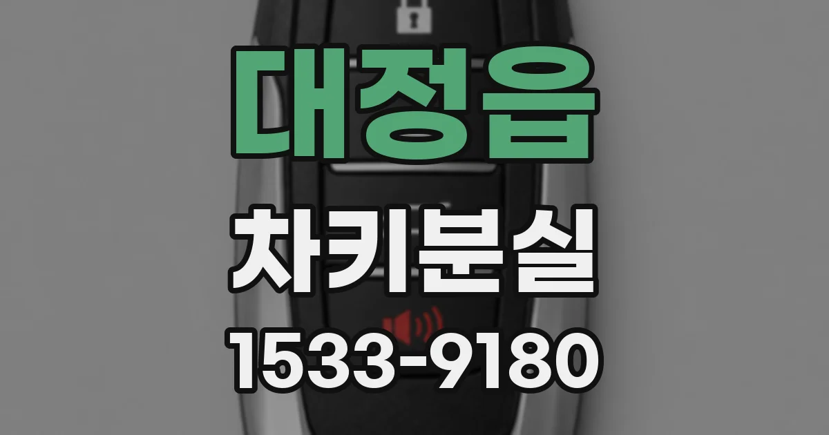 대정읍 차키분실