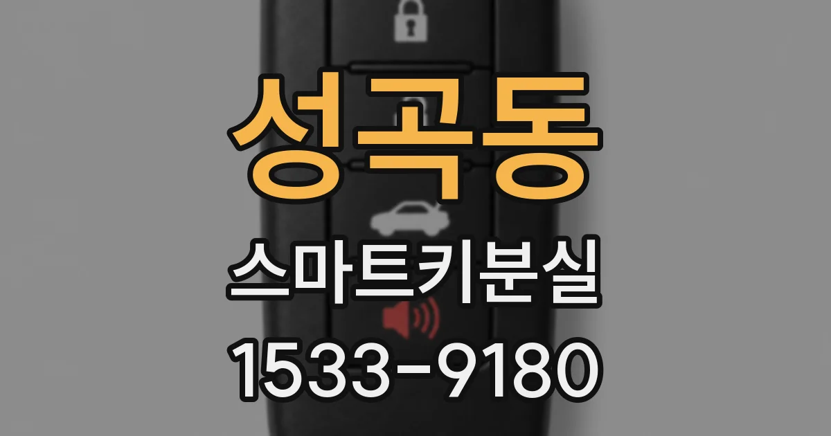 성곡동 스마트키분실