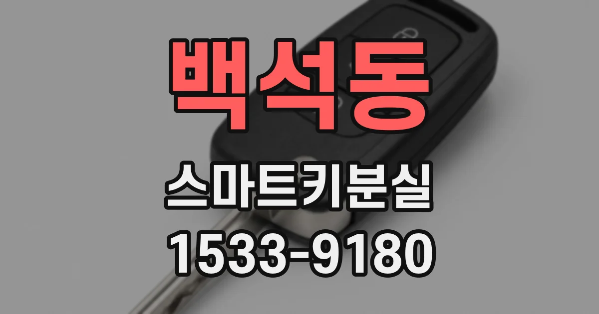 백석동 스마트키분실