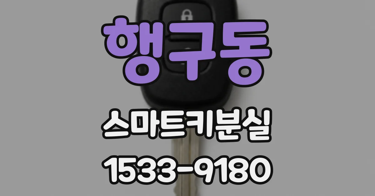 행구동 스마트키분실