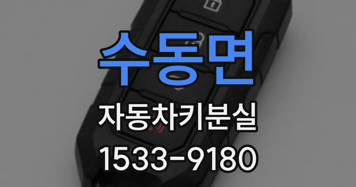 수동면 자동차키분실