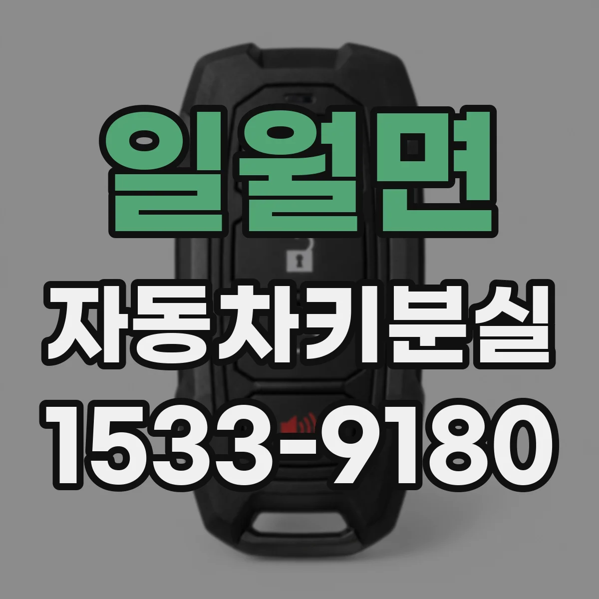 일월면 자동차키분실