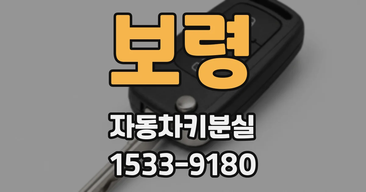 보령 자동차키분실