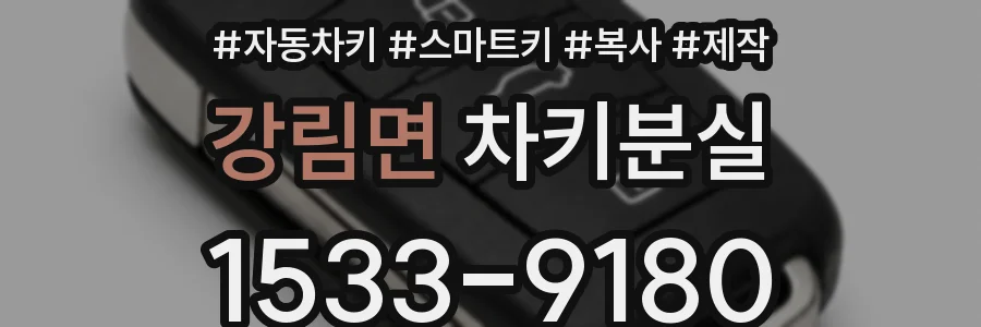 강림면 차키분실