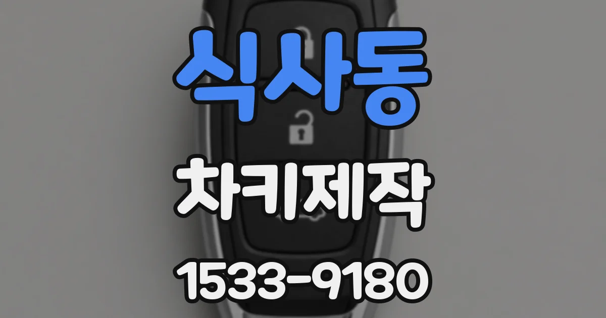 식사동 차키제작