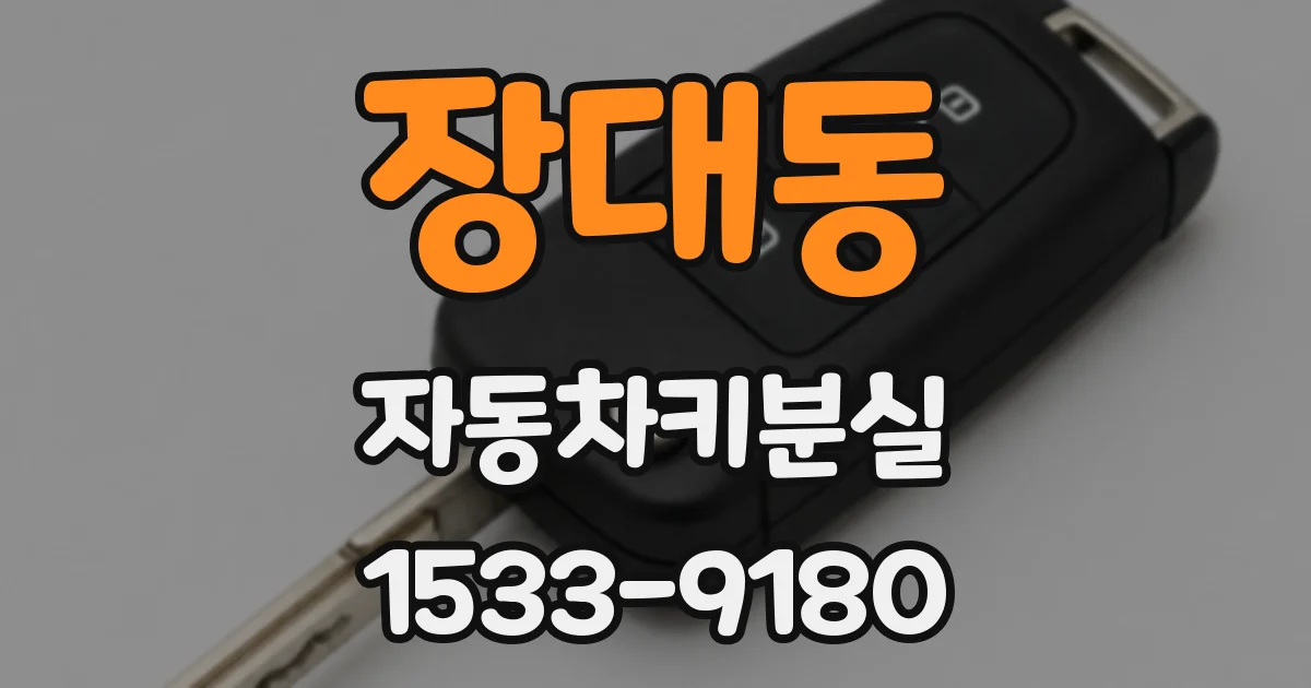 장대동 자동차키분실