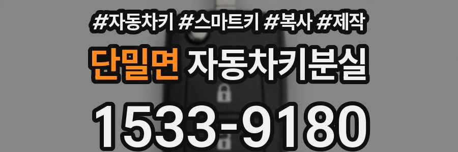 단밀면 자동차키분실