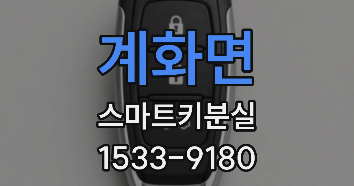 계화면 스마트키분실