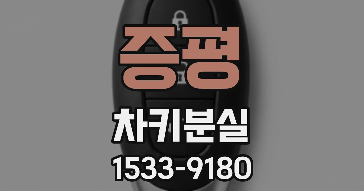 증평 차키분실