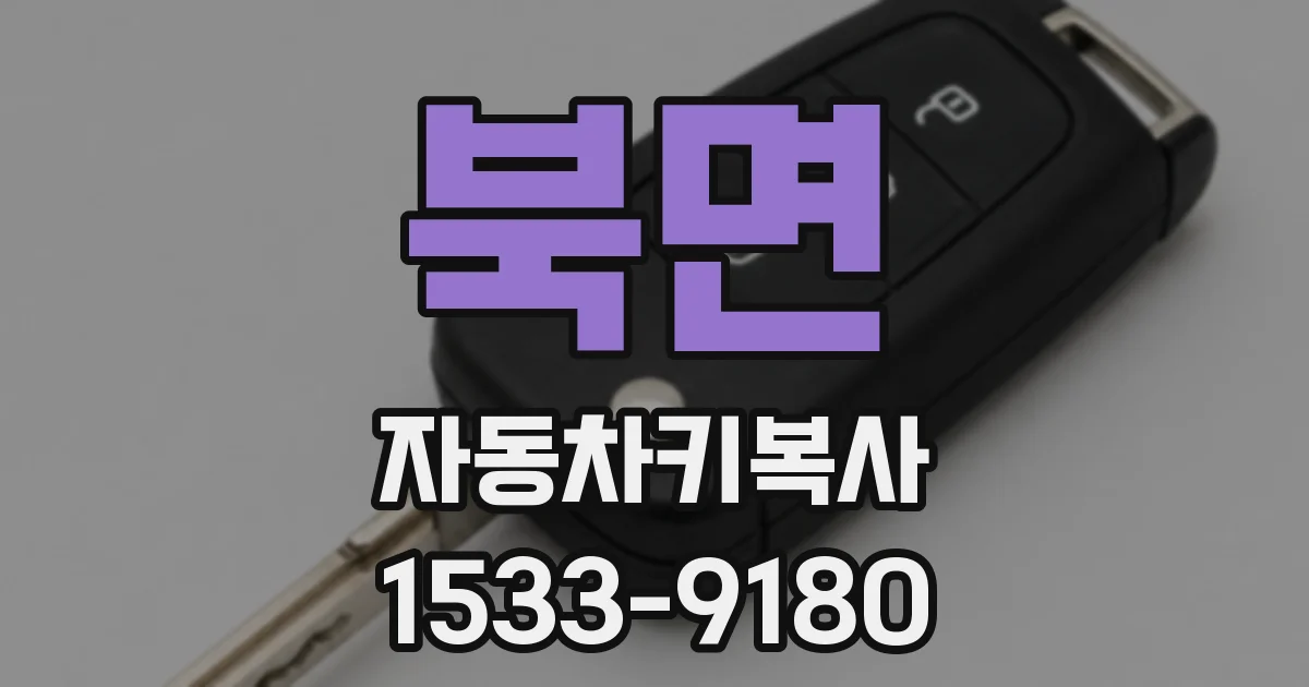 북면 자동차키복사