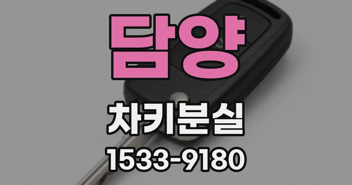 담양 차키분실
