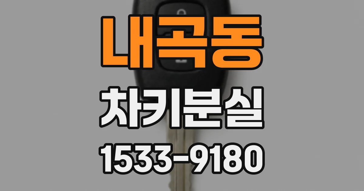 내곡동 차키분실