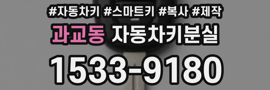 과교동 자동차키분실