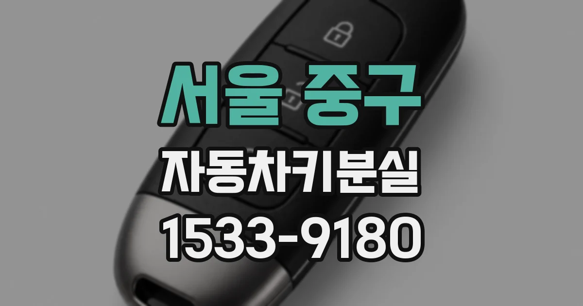 서울 중구 자동차키분실