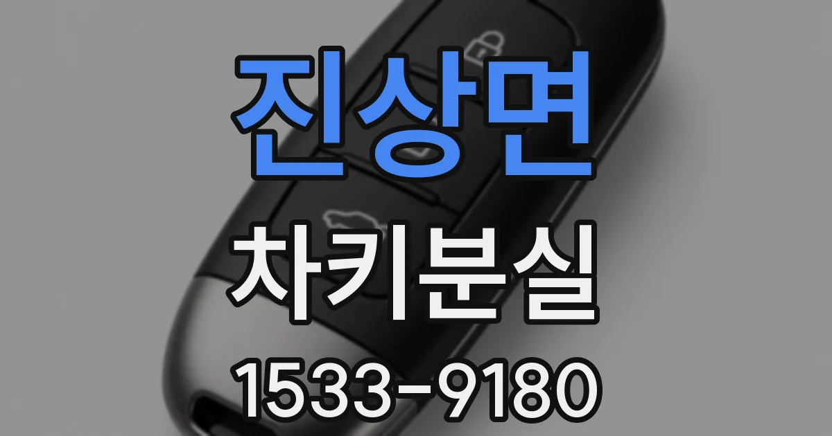진상면 차키분실